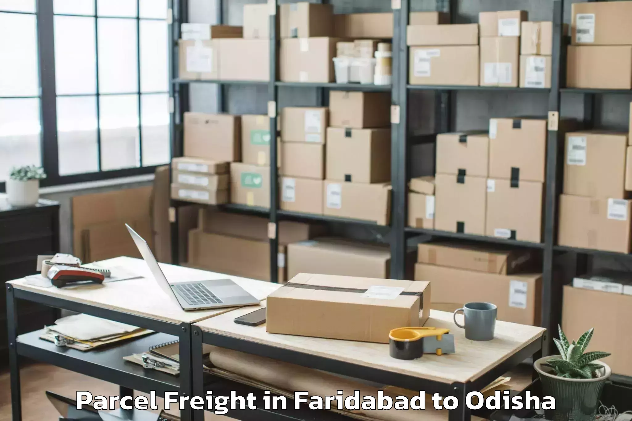 Book Your Faridabad to Kolabira Parcel Freight Today